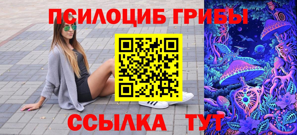 Элиста  Галлюциногенные грибы ЛСД  Псилоцибиновые грибы Magic Shrooms  Вход с VPN 
